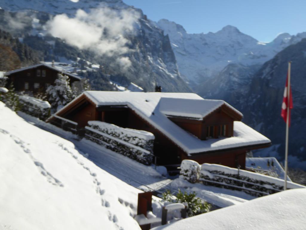 Chalet Protea ヴェンゲン エクステリア 写真
